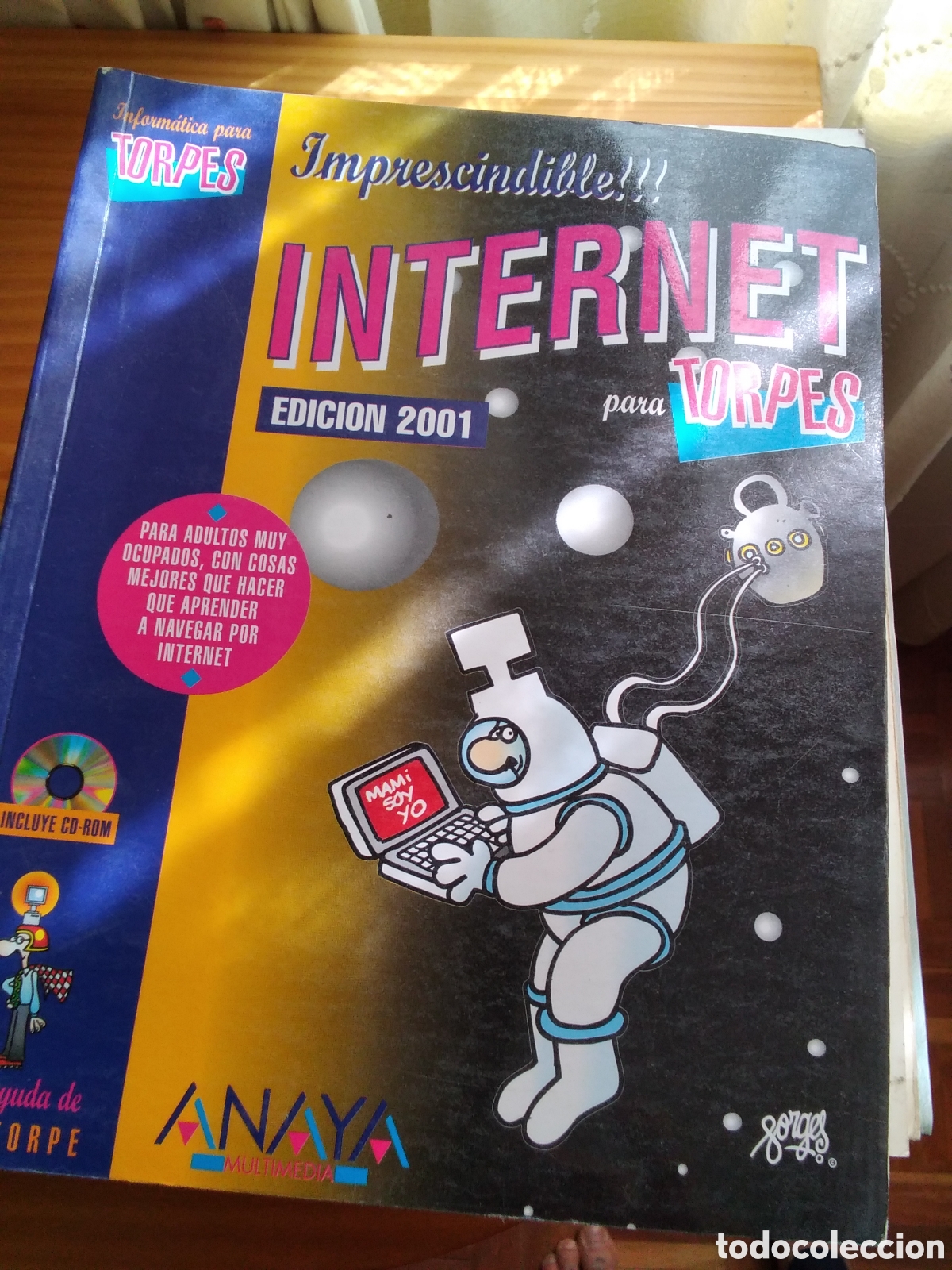 Libros de segunda mano: Internet para torpes edita anaya - Foto 1