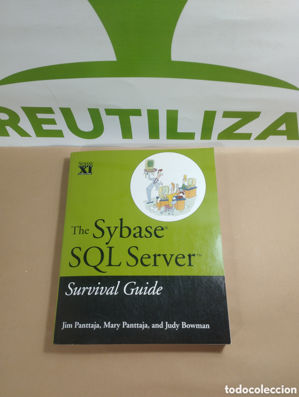 Libros de segunda mano: The Sybase SQL server. Survival Guide - Foto 1