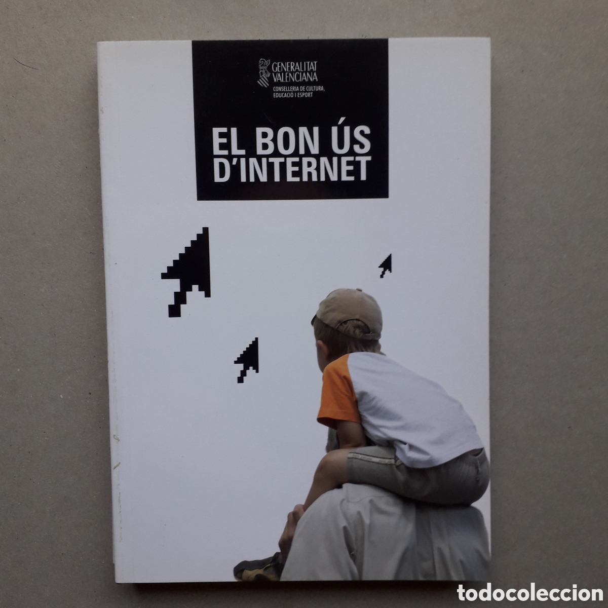 Libros de segunda mano: EL BON US DINTERNET - GENERALITAT VALENCIANA *t17 - Foto 1