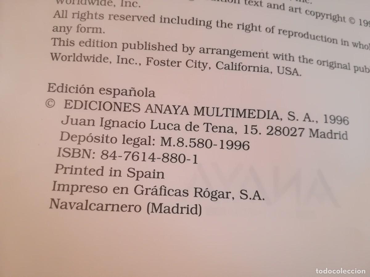 Libros de segunda mano: EL LIBRO DE WORD PARA WINDOWS 95 / CONS447 / ANAYA - Foto 5