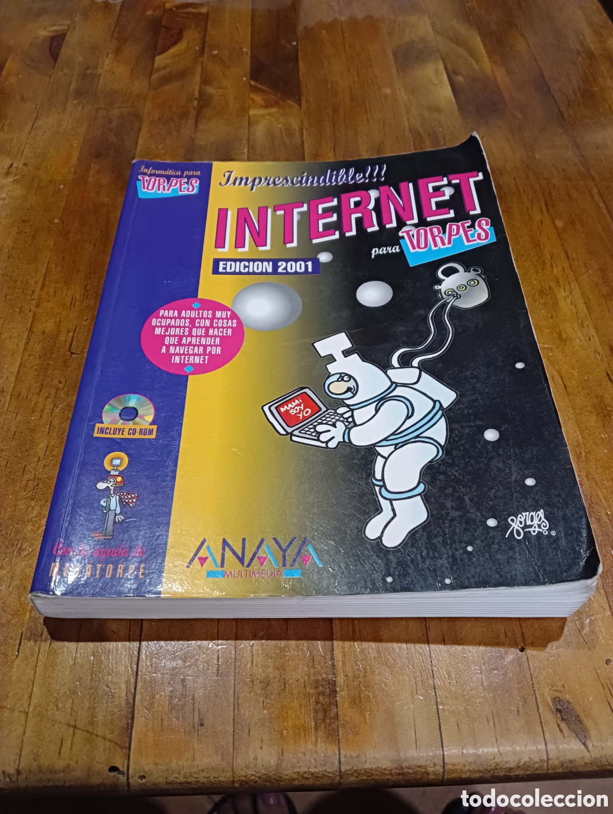 Libros de segunda mano: Imprescindible internet para torpes. Edici&oacute;n 2001 - Foto 1