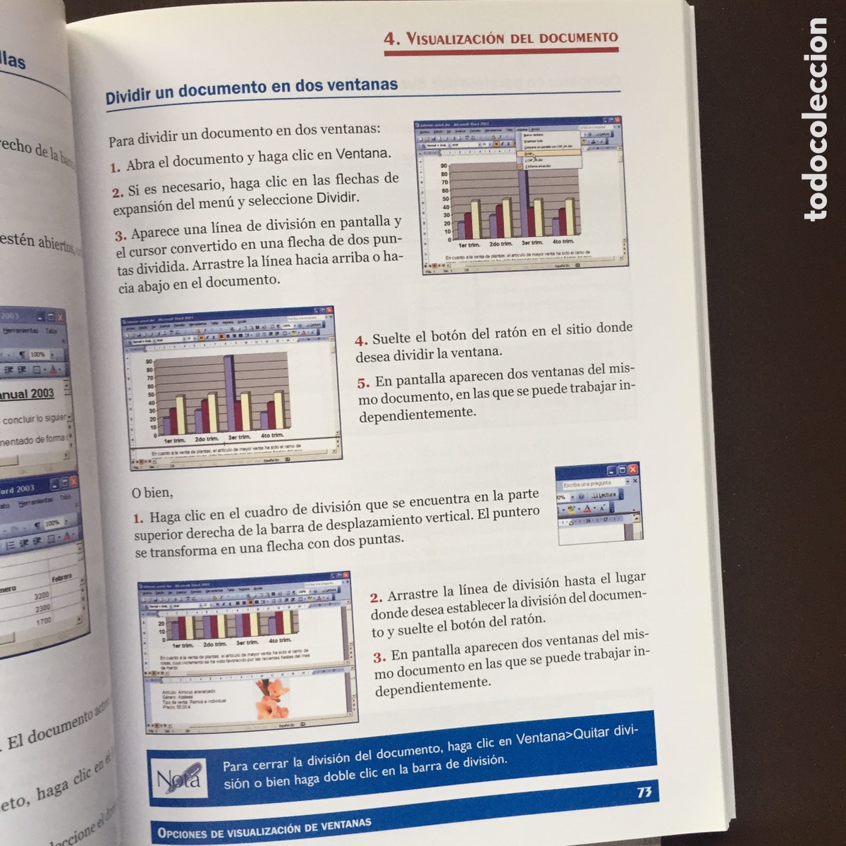 Libros de segunda mano: MICROSOFT WORD 2003 MARIA KIMBERT SCOTT GUIAS VISUALES ANAYA MULTIMEDIA - Foto 8