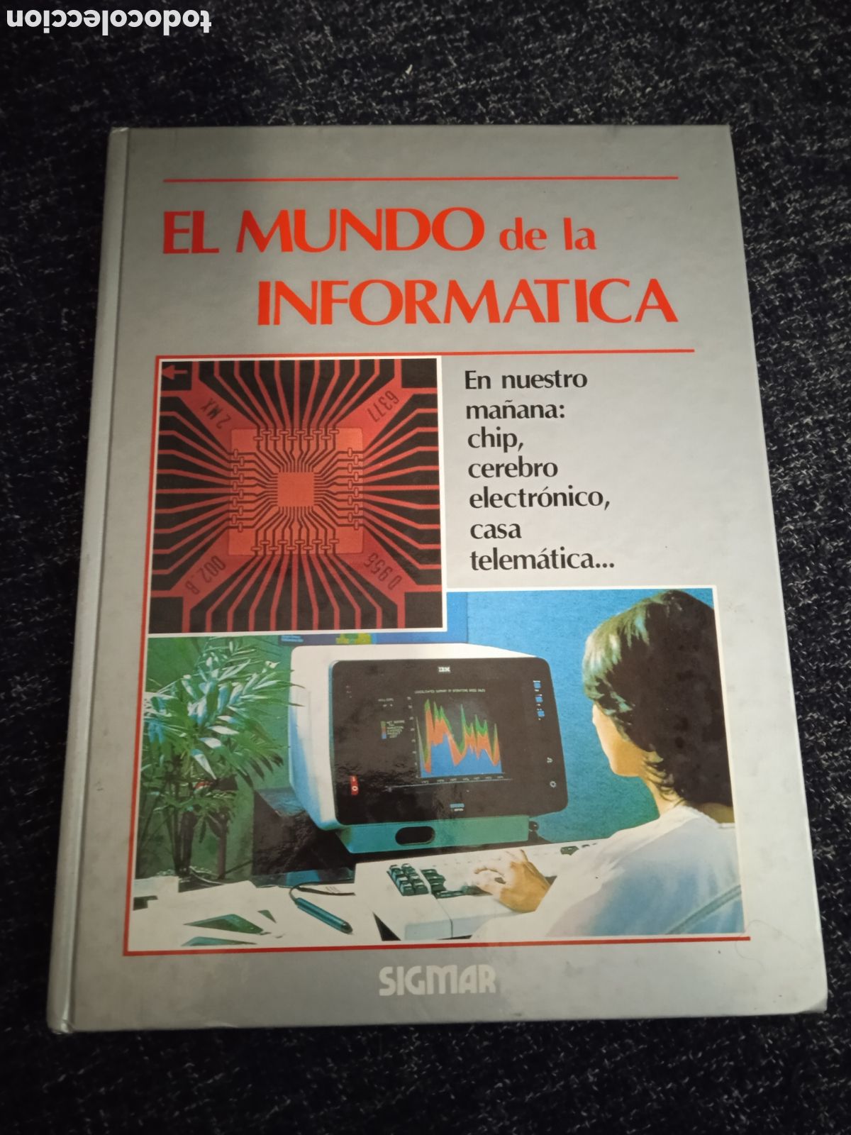 Libros de segunda mano: EL MUNDO DE LA INFORMATICA -ED. SIGMAR - Foto 1