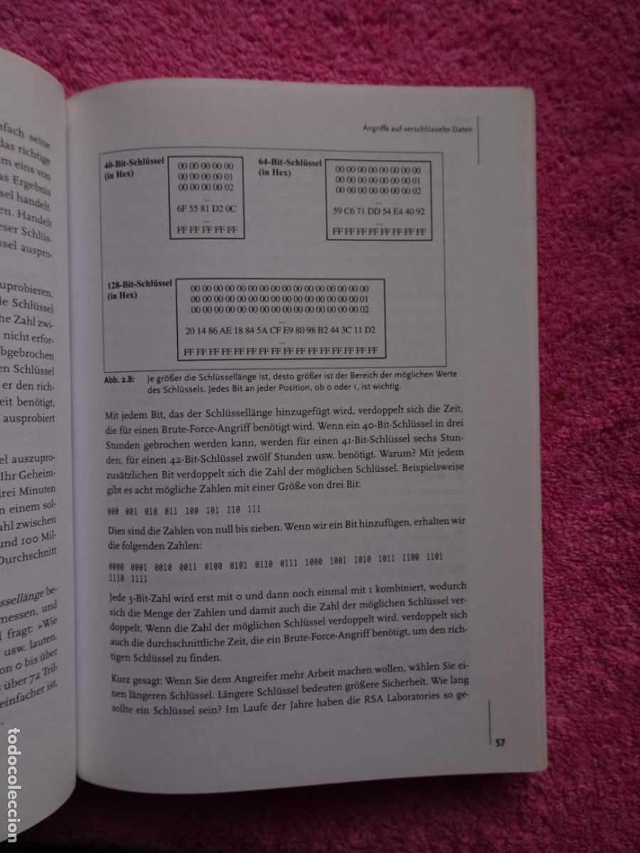 Libros de segunda mano: kryptographie rsa securitys official guide steven burnett 2001 auf cd-rom 1&ordf; edici&oacute;n - Foto 5