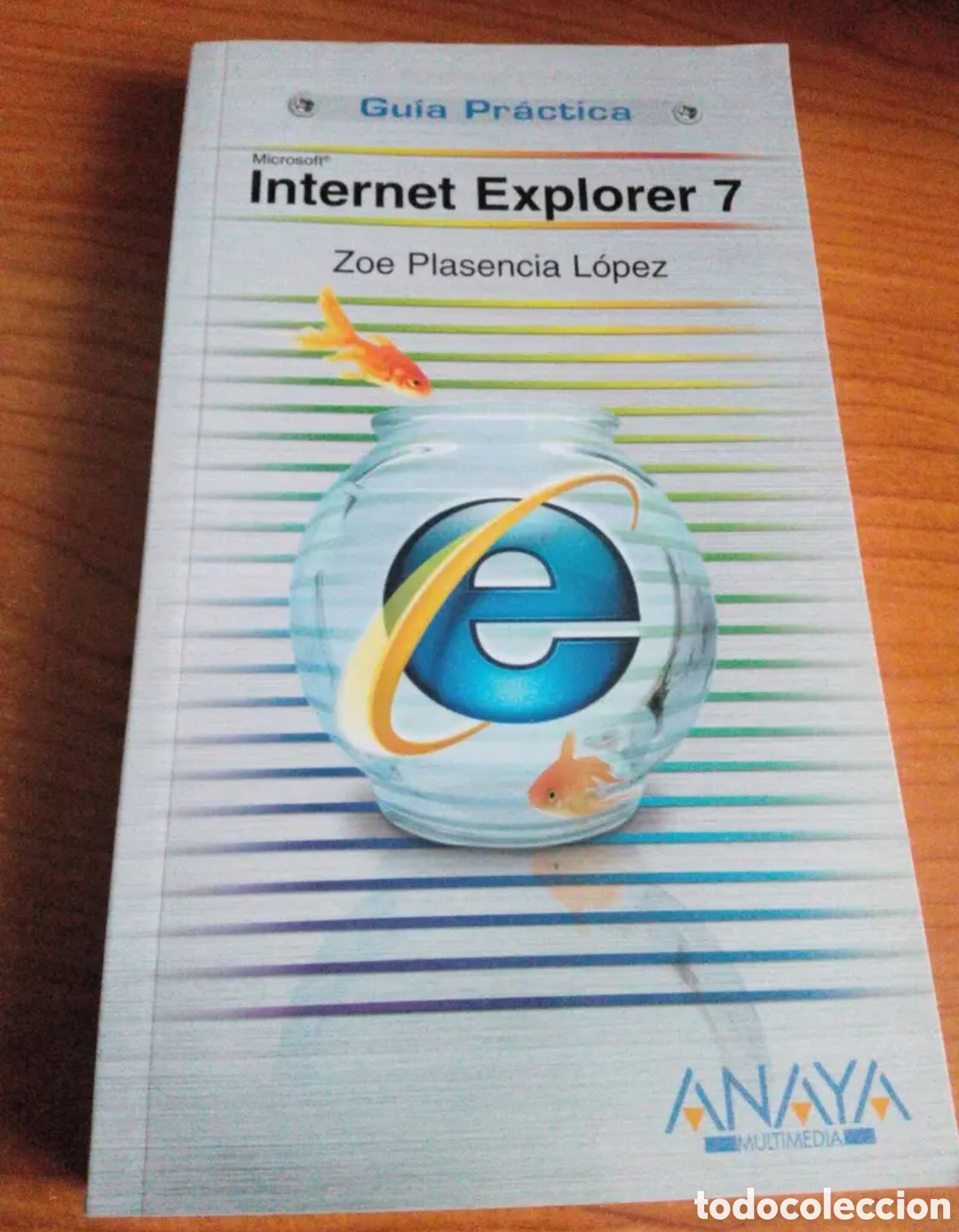 Libros de segunda mano: Internet exploret 7 vintage - Foto 1