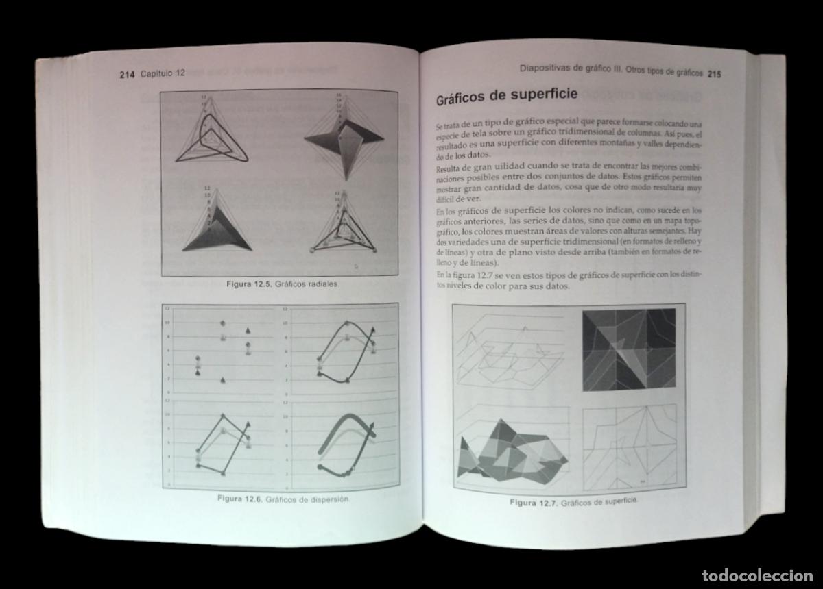 Libros de segunda mano: POWERPOINT 2007 - MANUAL IMPRESCINDIBLE / FRANCISCO PAZ GONZ&Aacute;LEZ. SIN CD - Foto 7