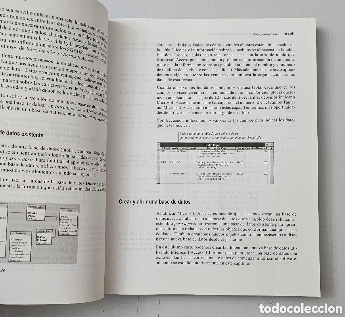 Libros de segunda mano: LIBRO GUIA DE FORMACION DE MICROSOFT ACCESS 2 PARA WINDOWS (Espa&ntilde;a - McGraw Hill - 1996) - Foto 18