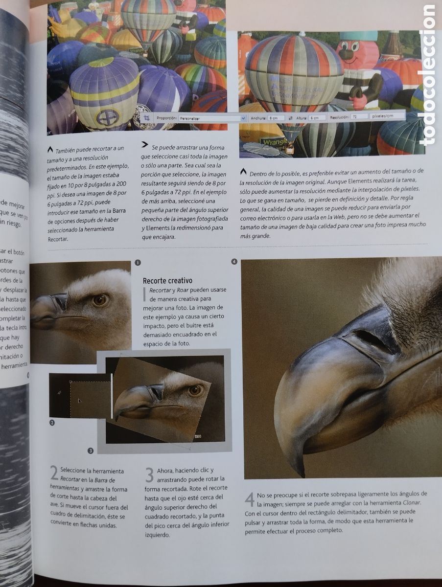 Libros de segunda mano: Manual b&aacute;sico de Photoshop - Barry Beckham - Ed. Folio, 2007 - Foto 3