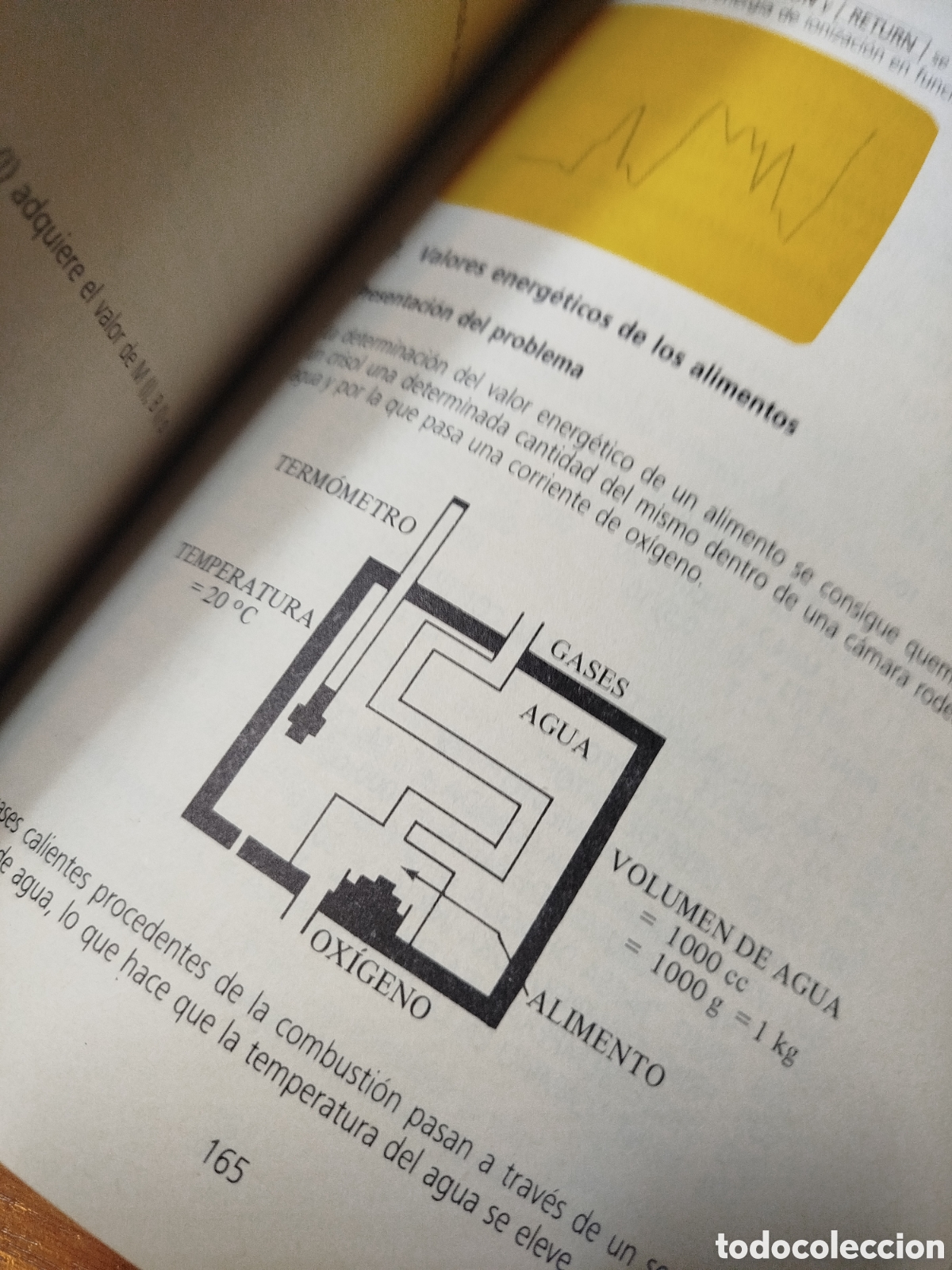 Libros de segunda mano: Basic. Programas de aplicaciones en BASIC. Matem&aacute;tica f&iacute;sica qu&iacute;mica. Lowy frutos - Foto 5