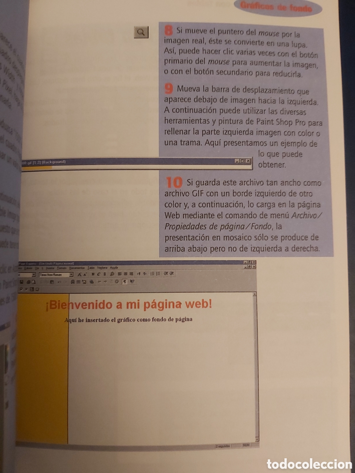 Libros de segunda mano: QUELA LIBRO. SU PROPIA WEB RAINER WERLE 1A. EDICI&Oacute;N 2000 DATA BECKER - Foto 8