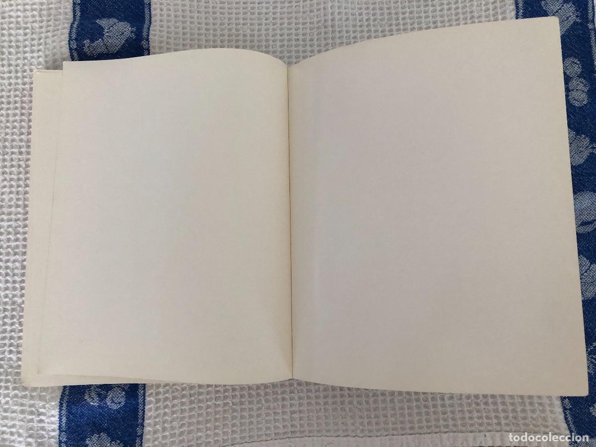 Libros de segunda mano: Adobe Illustrator versi&oacute;n 5.0 - Gu&iacute;a del usuario / manual para Macintosh, 1993. - Foto 12
