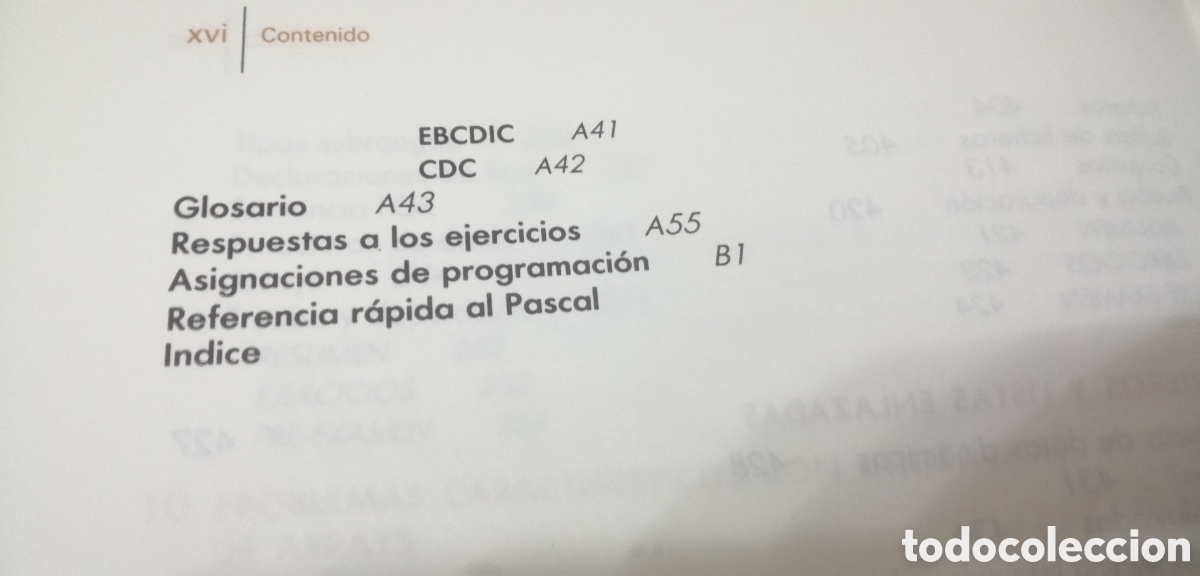 Libros de segunda mano: Pascal. Dale / Orshalick. McGraw Hill 1985 - Foto 12