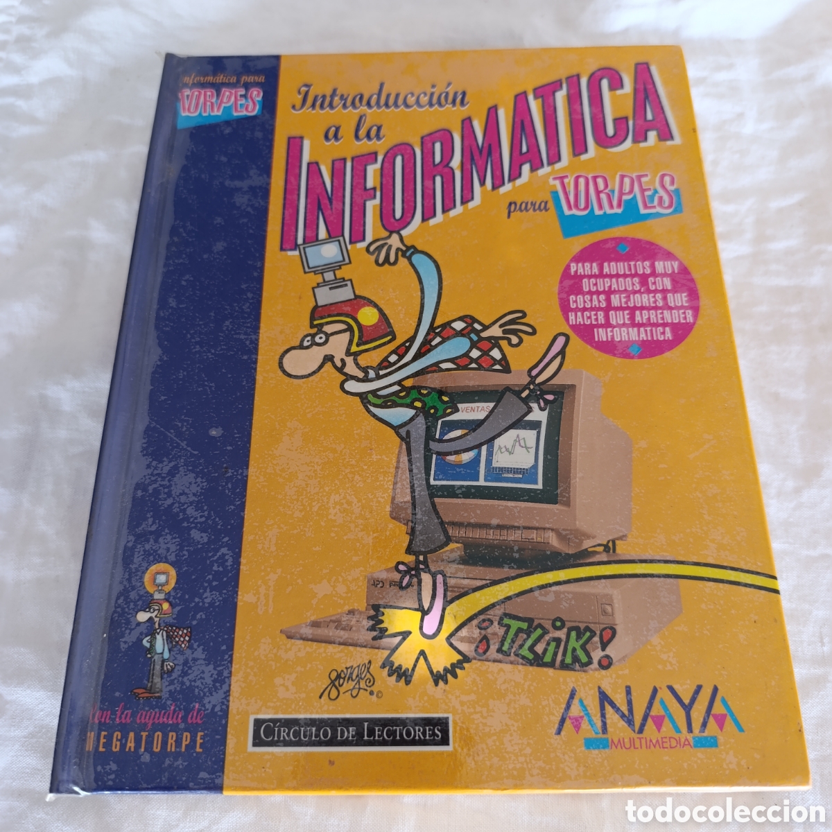 Libros de segunda mano: Introducci&oacute;n a la inform&aacute;tica para torpes - Kosme J. Del Teso - Foto 1