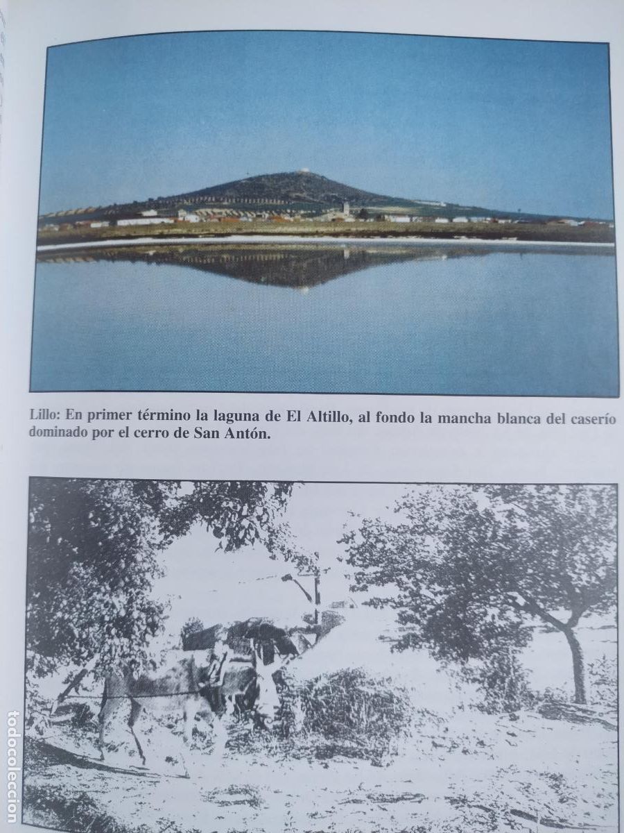 Libros de segunda mano: F Jim&eacute;nez de Gregorio La Mancha Toledana 1999 - Foto 5