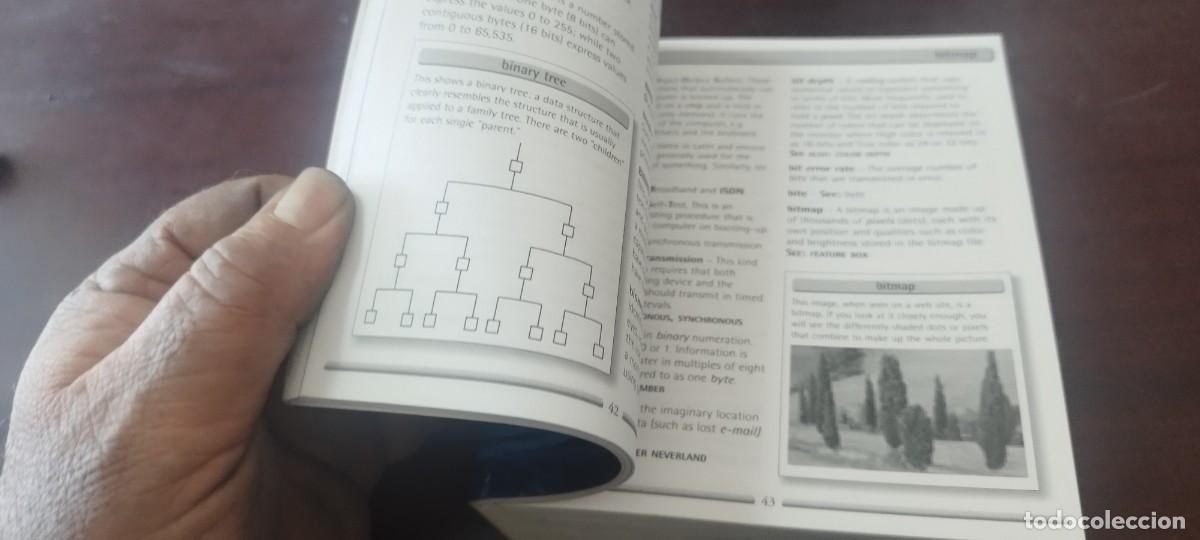 Libros de segunda mano: INTERNET DICTIONARY / DK / ZUX13 EN INGLES diccionario internet - Foto 9