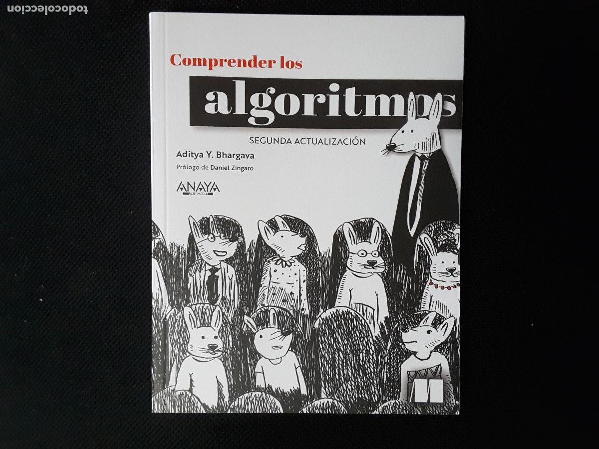 Libros de segunda mano: Comprender los algoritmos (Aditya Y. Bhargava)