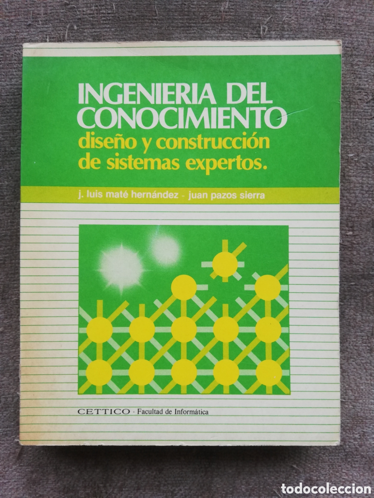 Libros de segunda mano: Ingenier&iacute;a del conocimiento. Dise&ntilde;o y construcci&oacute;n de sistemas expertos, Mat&eacute; Hern&aacute;ndez Pazos Sierra