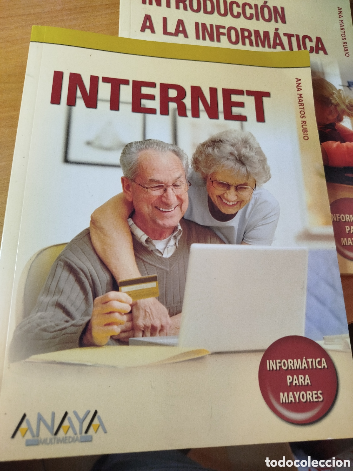 Libros de segunda mano: Introducci&oacute;n a la inform&aacute;tica. Internet. Inform&aacute;tica para mayores. Ana Martos rubio