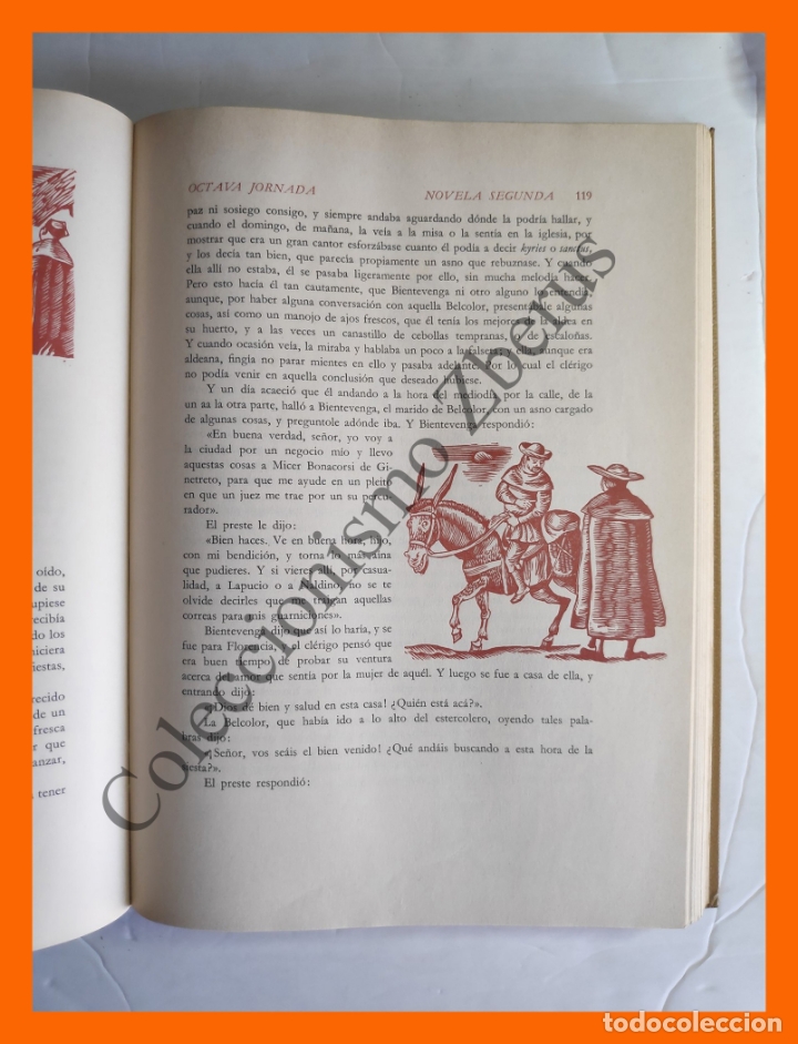 Libros de segunda mano: Decameron - Giovanni Boccaccio - Foto 5