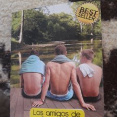 Libros de segunda mano: NOVELA GAY. LOS AMIGOS DE SEBASTIÁN. TOMÁS ORTIZ.