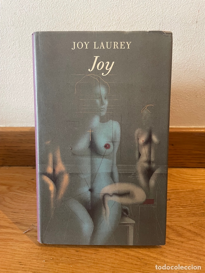 Libros de segunda mano: Joy Laurey Joy - Foto 1
