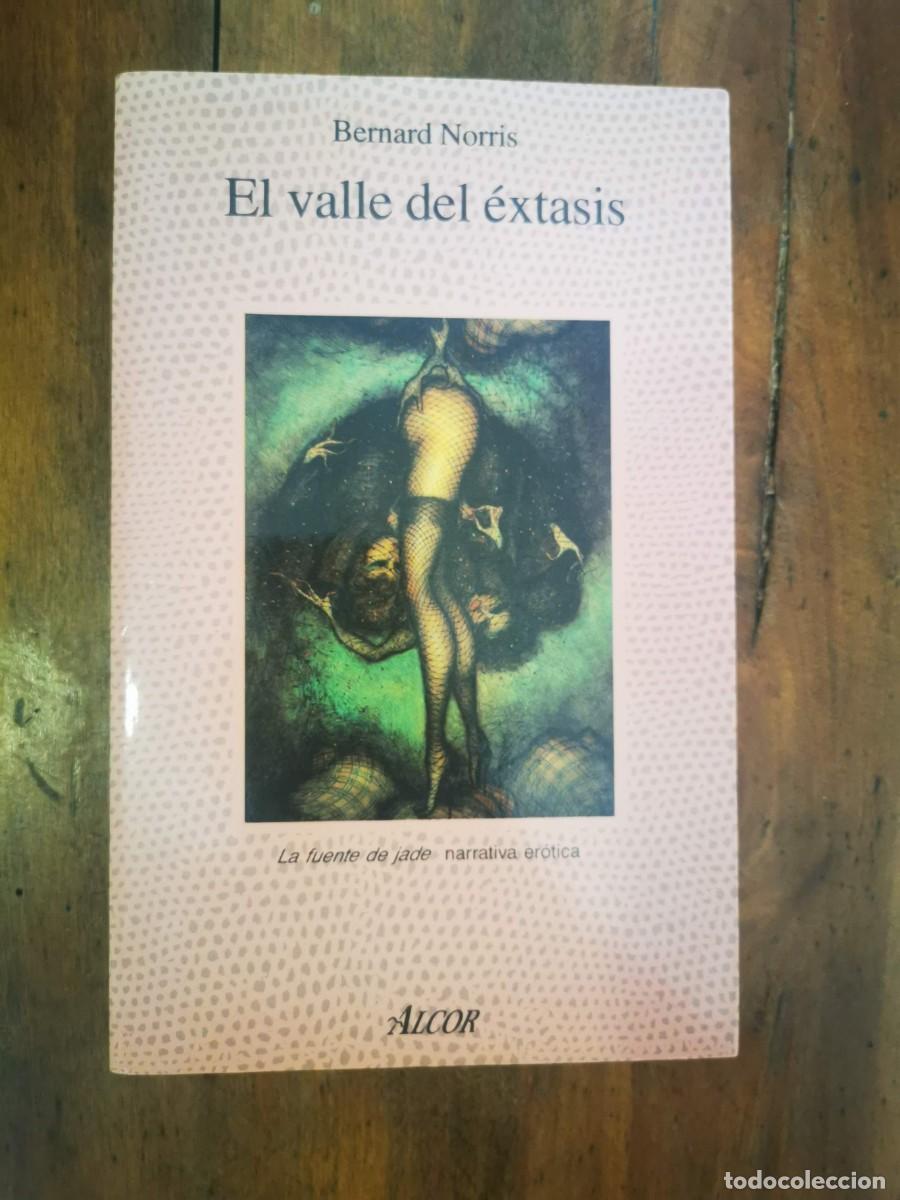 Libros de segunda mano: NORRIS, Bernard. El valle del &eacute;xtasis - Foto 1