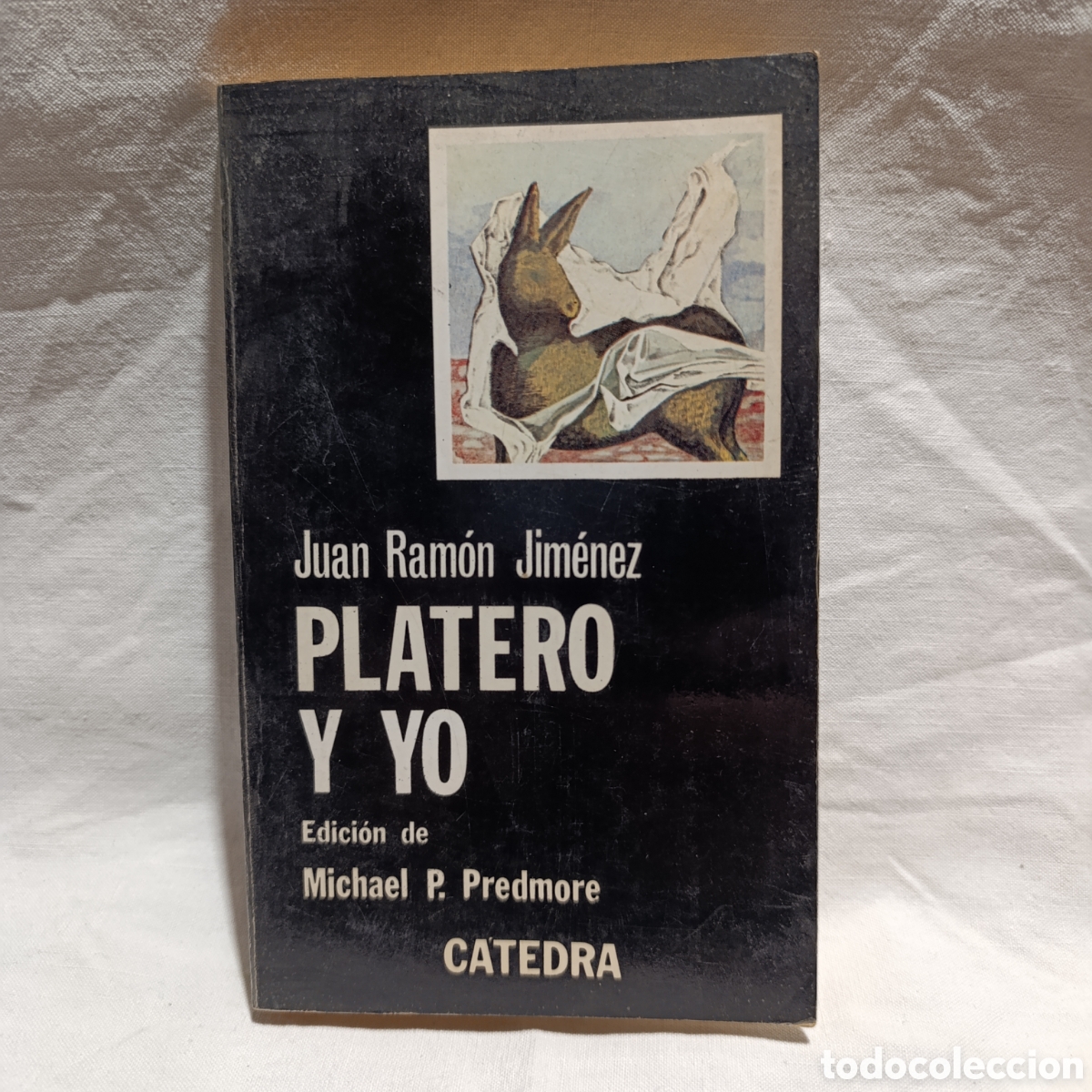 Libros de segunda mano: PLATERO Y YO ,JUAN RAMON JIMENEZ - Foto 1