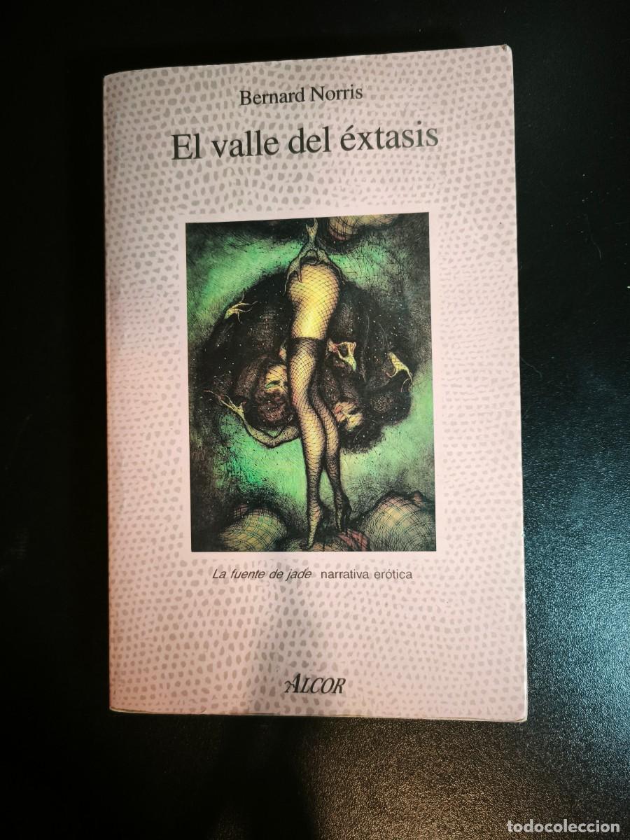 Libros de segunda mano: El valle del &eacute;xtasis - Bernard Norris - Foto 1