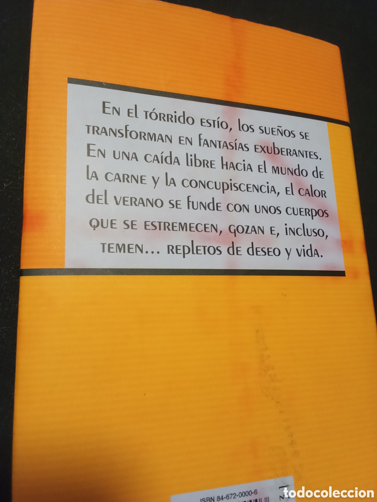 Libros de segunda mano: CUENTOS ER&Oacute;TICOS DE VERANO - Foto 3