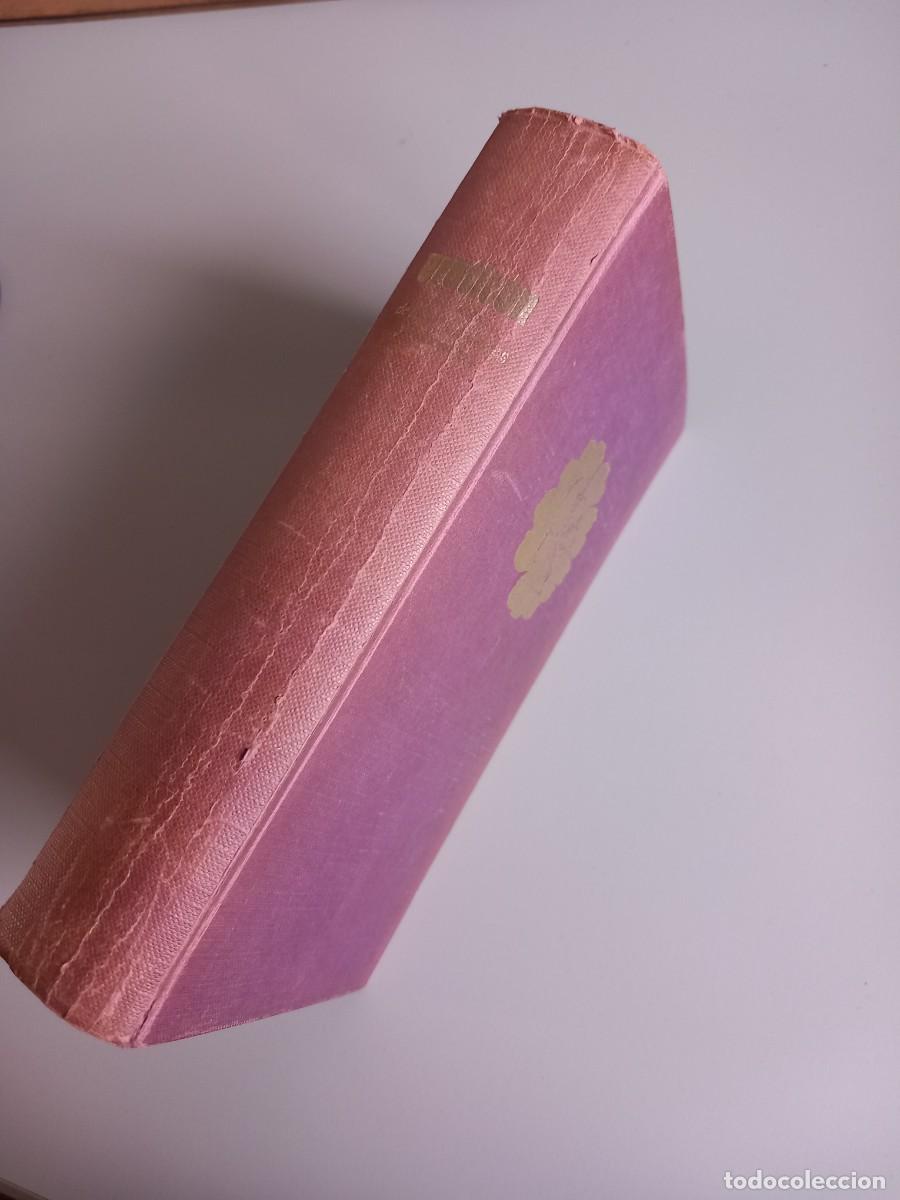 Libros de segunda mano: EROTIC&Oacute;N. Ediciones 29 - Foto 2