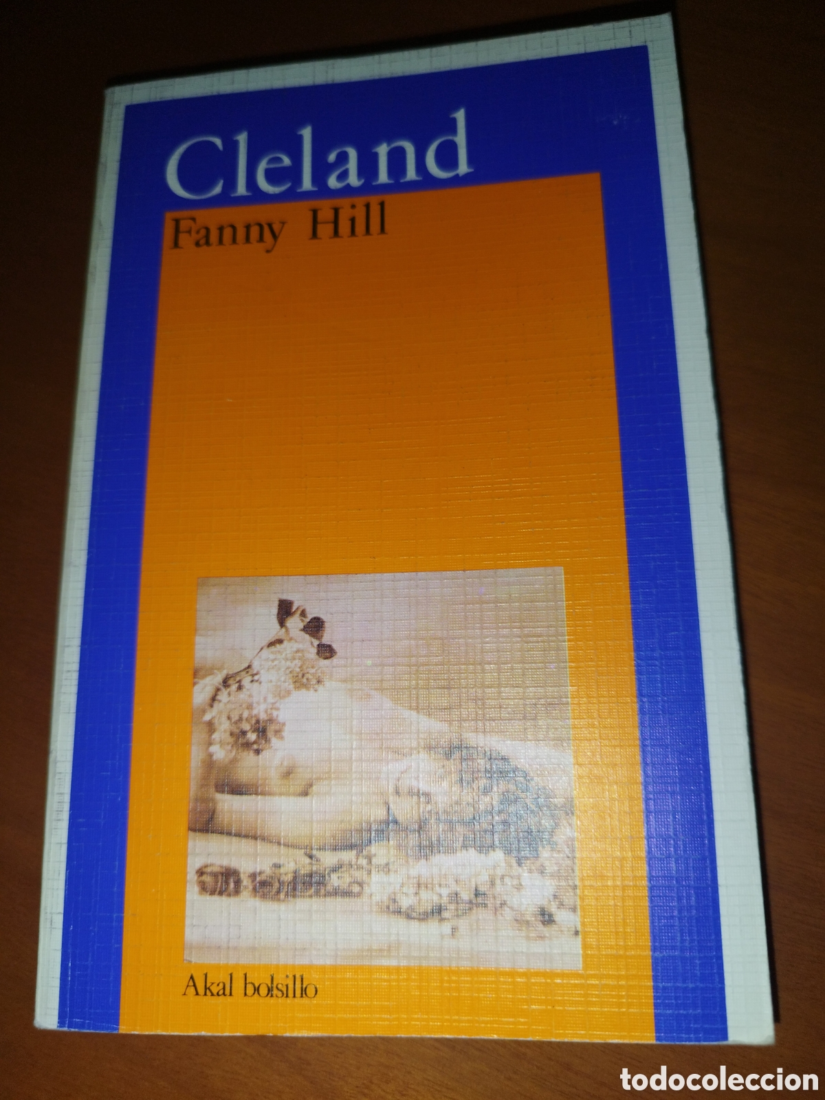 Livros em segunda m&atilde;o: JOHN CLELAND: FANNY HILL. ED. AKAL BOLSILLO, 1985.