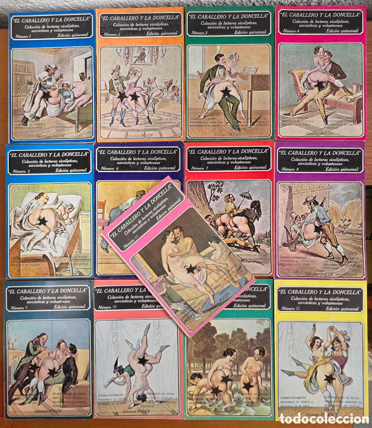 Libros de segunda mano: El Caballero y la Doncella - Colecci&oacute;n Lecturas Sical&iacute;pticas Sarc&aacute;sticas - Ediciones Polen 1979