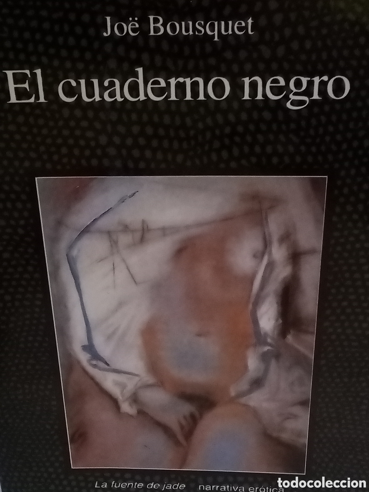 Libros de segunda mano: Jo&euml; Bousquet. El cuaderno negro