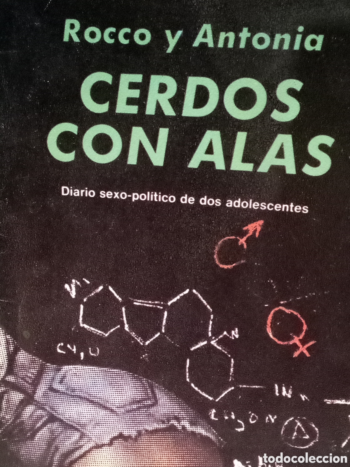 Libros de segunda mano: Rocco y Antonia. Cerdos con alas. Diario sexo-pol&iacute;tico de dos adolescentes