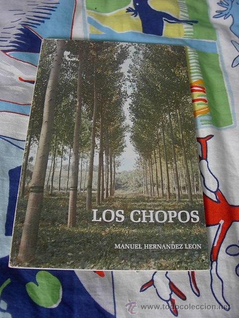 Libros de segunda mano: Los chopos, Manuel Hernandez Leon,1981 - Foto 1