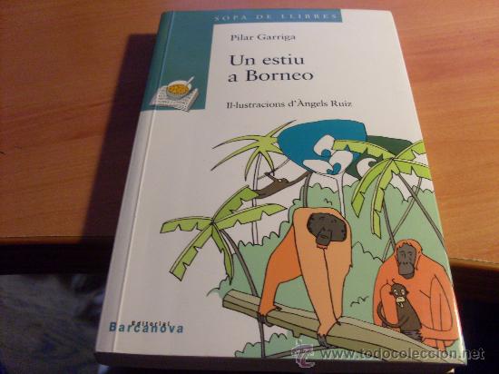 Download 42 Gambar Elang Borneo  Gratis