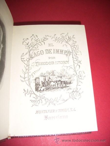 Libros de segunda mano: STORM, Theodor - El lago de Immen - Foto 1