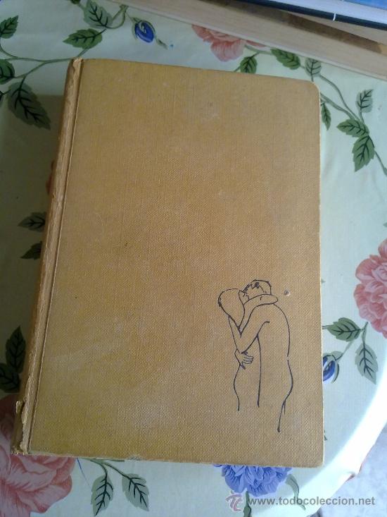 Libros de segunda mano: LOS INSACIABLES HAROLD ROBBINS EST3B1 - Foto 1