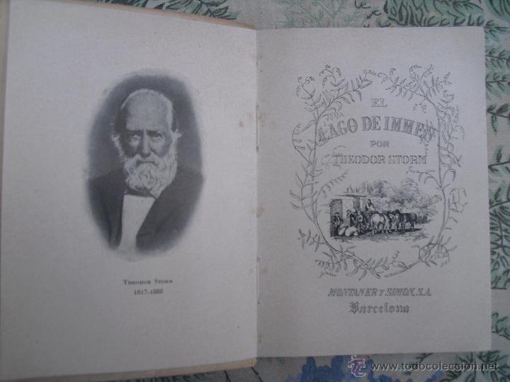 Libros de segunda mano: El lago de Immen. Storm, Theodor - Foto 1