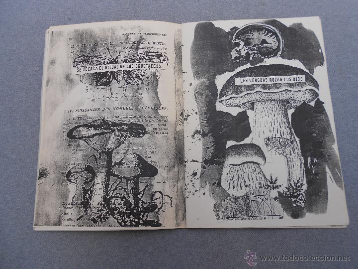Libros de segunda mano: HONG - Foto 4