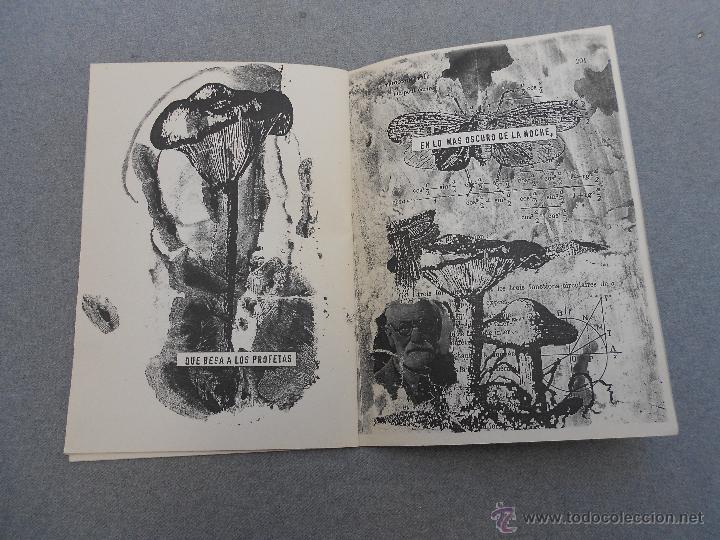 Libros de segunda mano: HONG - Foto 5