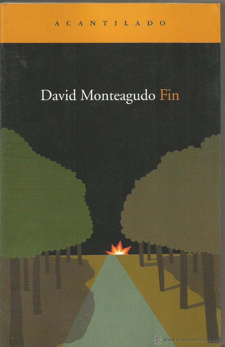 Libros de segunda mano: DAVID MONTEAGUDO. FIN. ACANTILADO - Foto 1