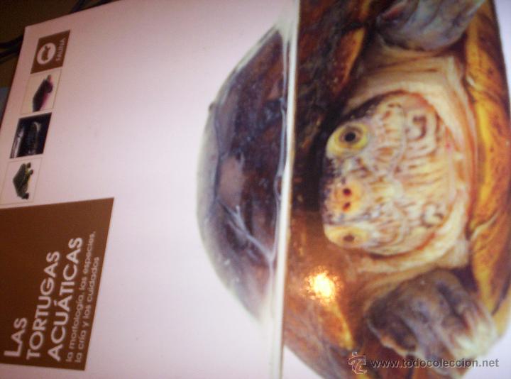 Libri di seconda mano: LAS TORTUGAS ACUATICAS - LA MORFOLOGIA,CRIA, CUIDADOS ETC - DE VECCHI - 2007