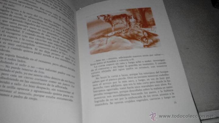 Libros de segunda mano: FUGITIVO - BORJA CARDELUS - Foto 2