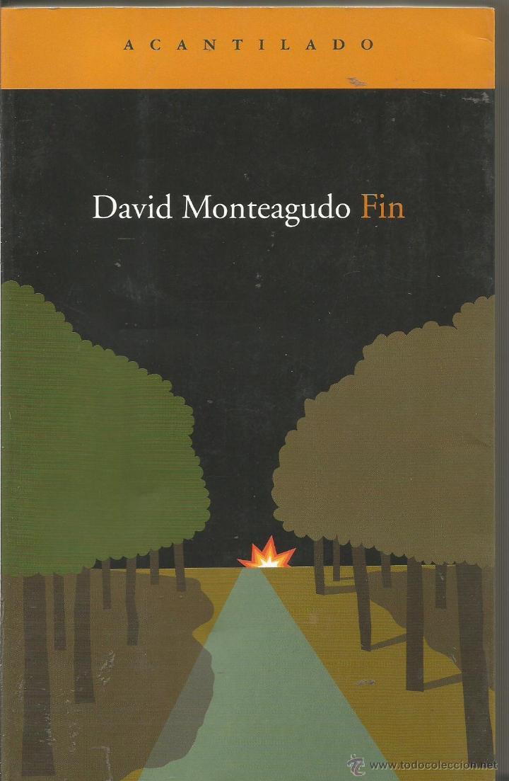 Libros de segunda mano: DAVID MONTEAGUDO. FIN. ACANTILADO - Foto 1
