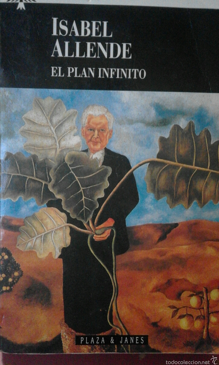 Libros de segunda mano: El plan infinito - Isabel Allende - Foto 1