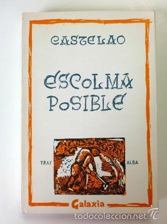 Libros de segunda mano: CASTELAO: ESCOLMA POSIBLE