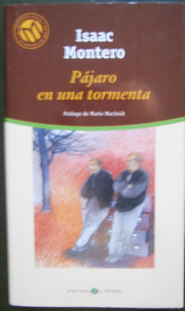 Libros de segunda mano: P&aacute;jaro en la Tormenta - Isaac Montero - Foto 1