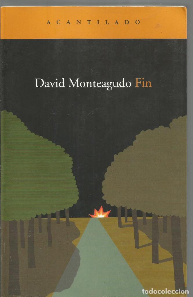 Libros de segunda mano: DAVID MONTEAGUDO. FIN. ACANTILADO - Foto 1