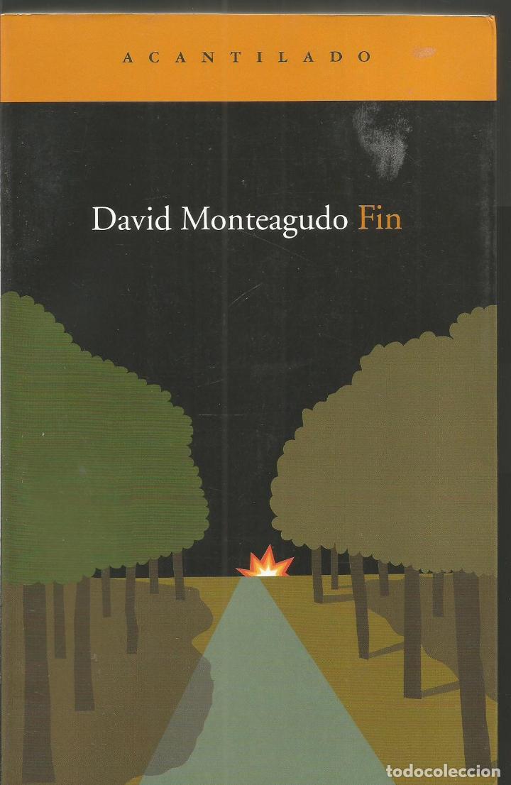 Libros de segunda mano: DAVID MONTEAGUDO. FIN. ACANTILADO - Foto 1